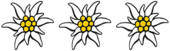3_Edelweiss